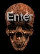 A flaming skull marked ENTER